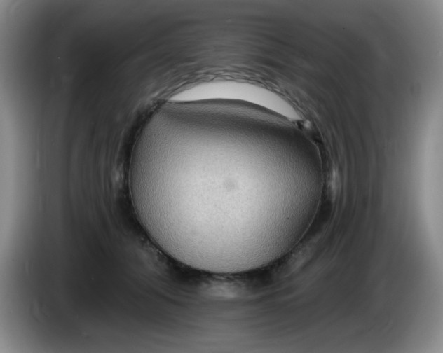 X0000083970608200703091804