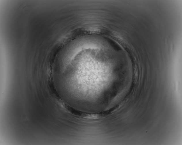 X0000083970609200703091804