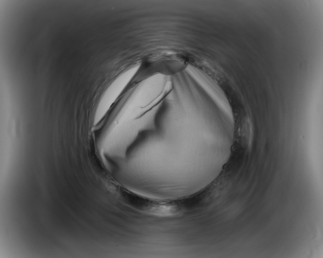 X0000083970610200703091804