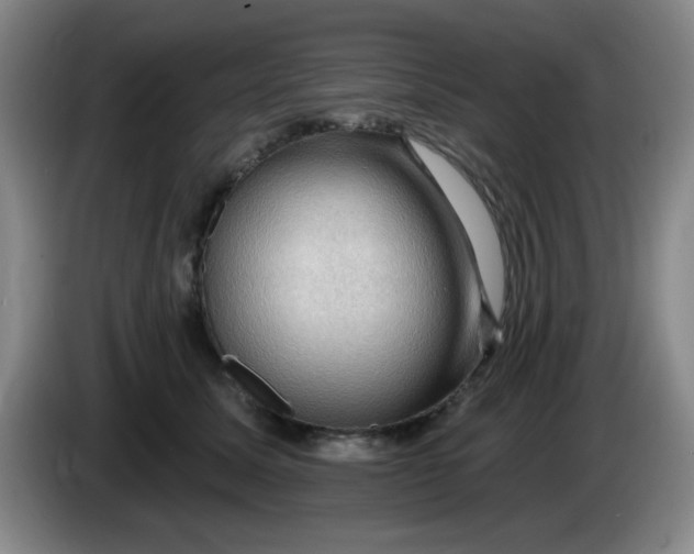 X0000083970611200703091804