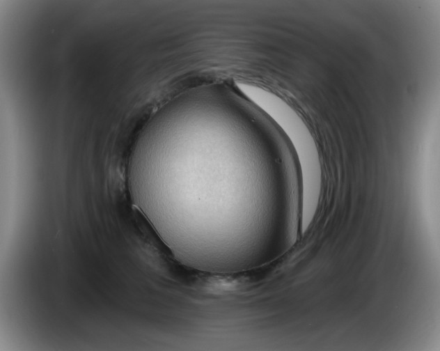 X0000083970613200703091804