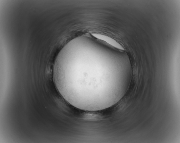 X0000083970614200703091804