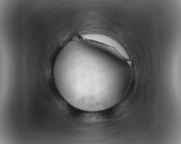 X0000083970615200703091804