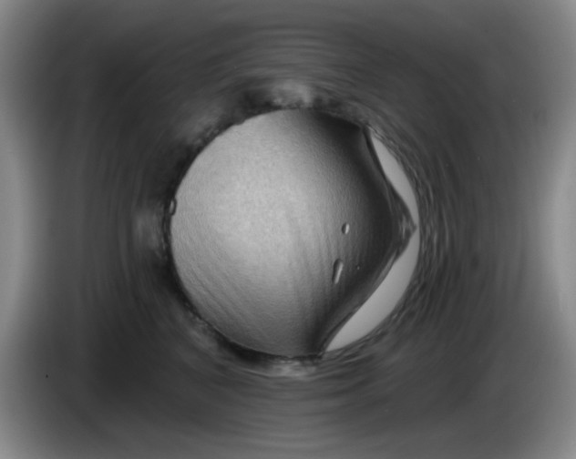 X0000083970616200703091804