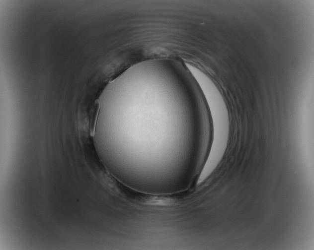 X0000083970617200703091804