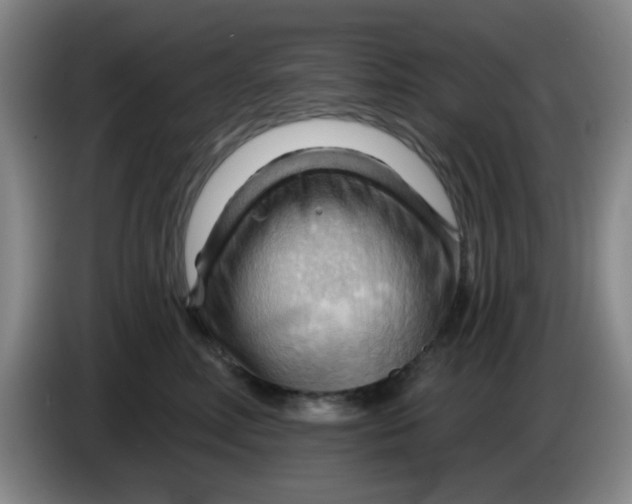 X0000083970618200703091804