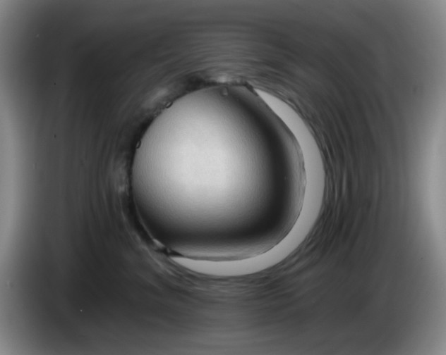 X0000083970620200703091804