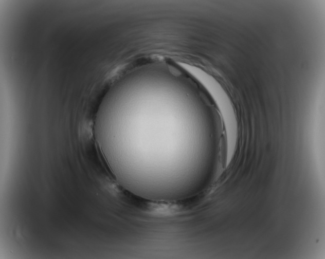 X0000083970621200703091804