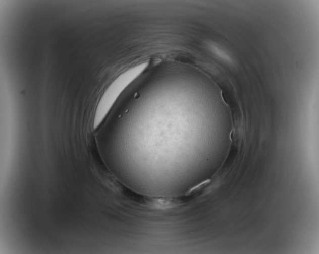 X0000083970623200703091804