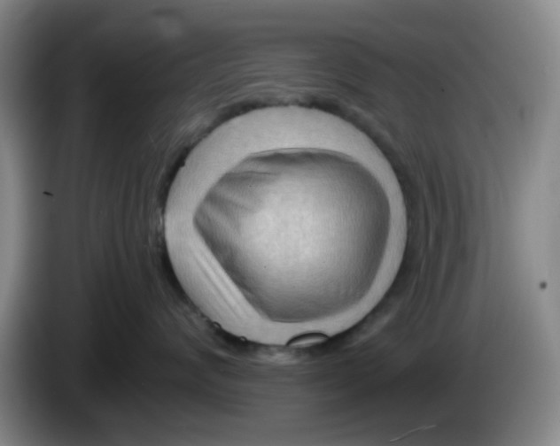 X0000083970624200703091804