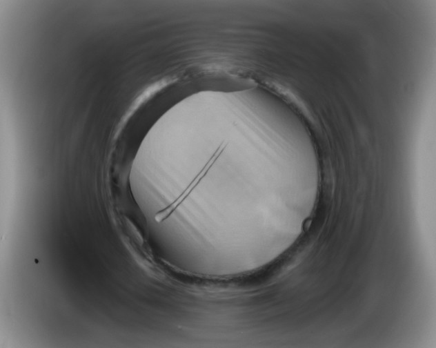 X0000083970626200703091803