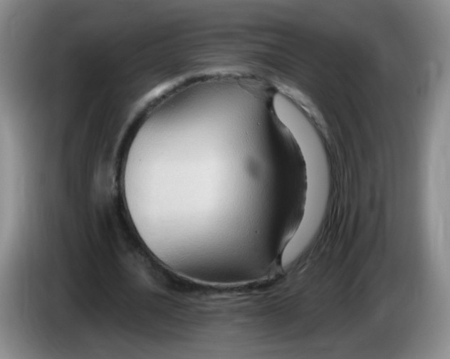 X0000083970628200703091803