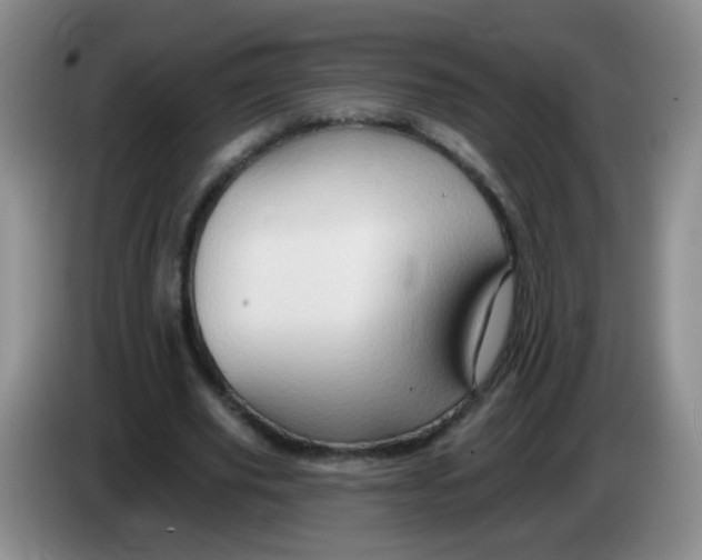 X0000083970629200703091803