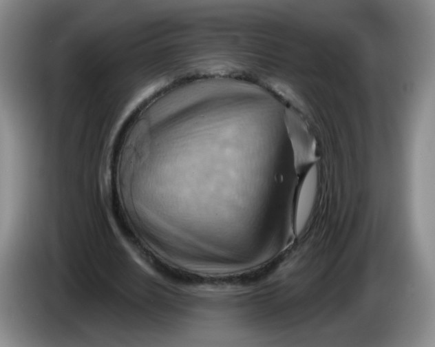 X0000083970630200703091803
