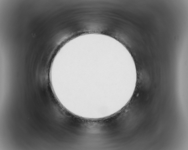 X0000083970632200703091803