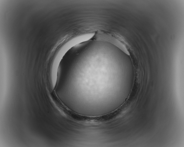 X0000083970634200703091803