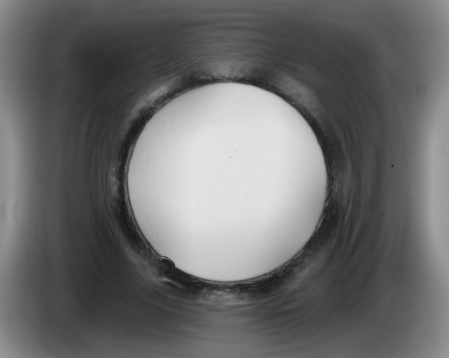 X0000083970635200703091803