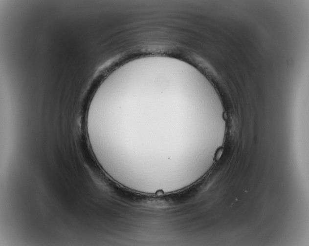 X0000083970636200703091803
