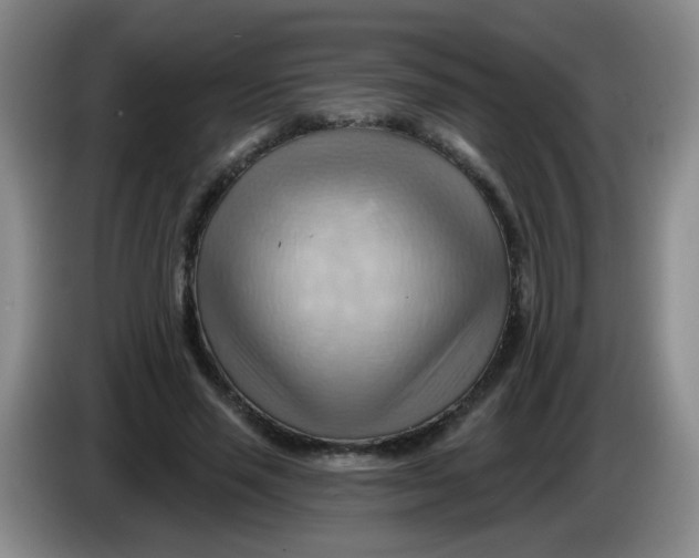 X0000083970637200703091803