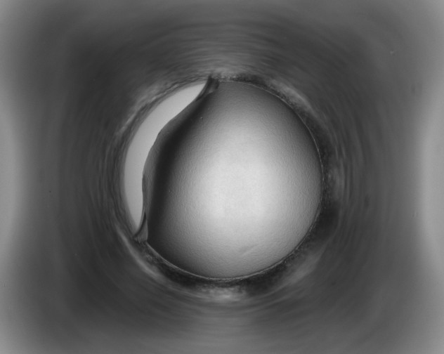 X0000083970638200703091804