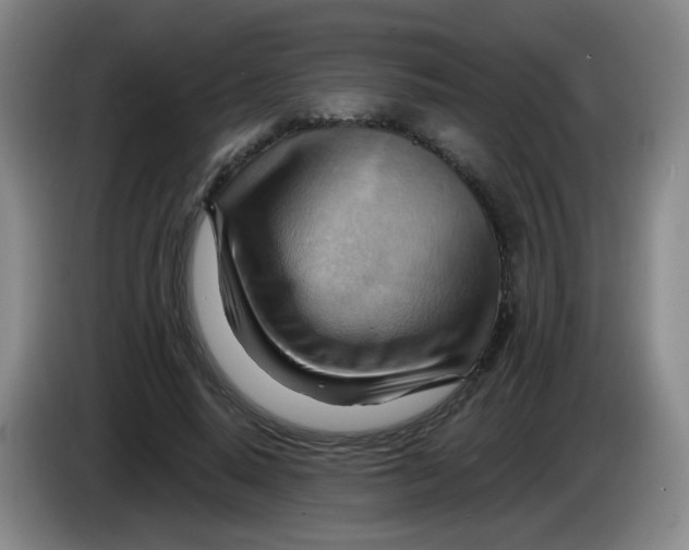 X0000083970640200703091804