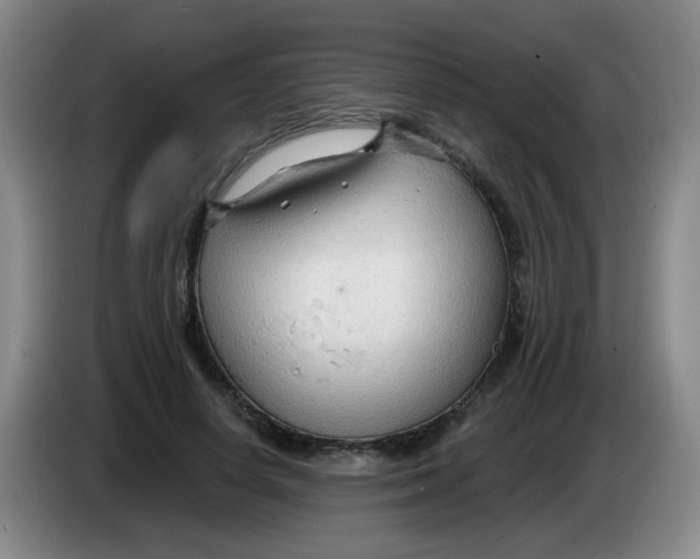 X0000083970642200703091804