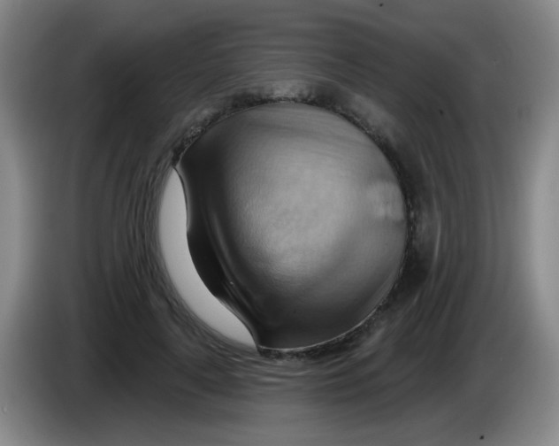 X0000083970643200703091804