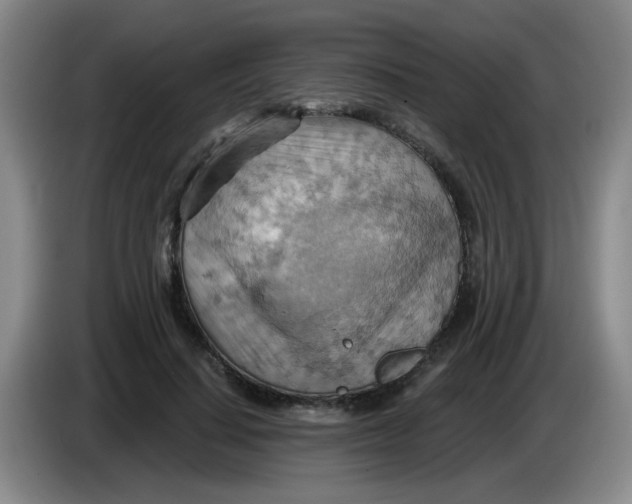 X0000083970644200703091804