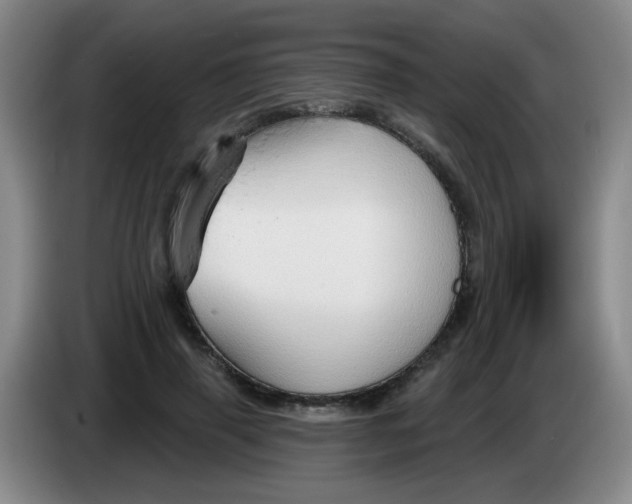 X0000083970645200703091804