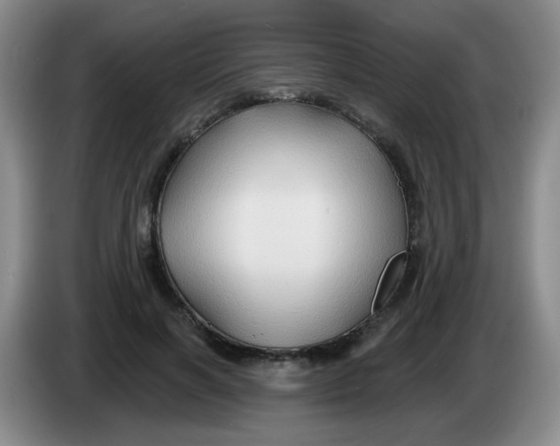 X0000083970646200703091804