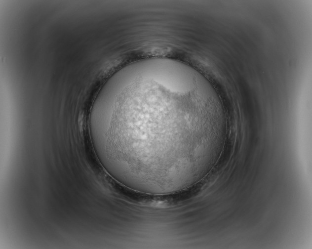X0000083970647200703091804