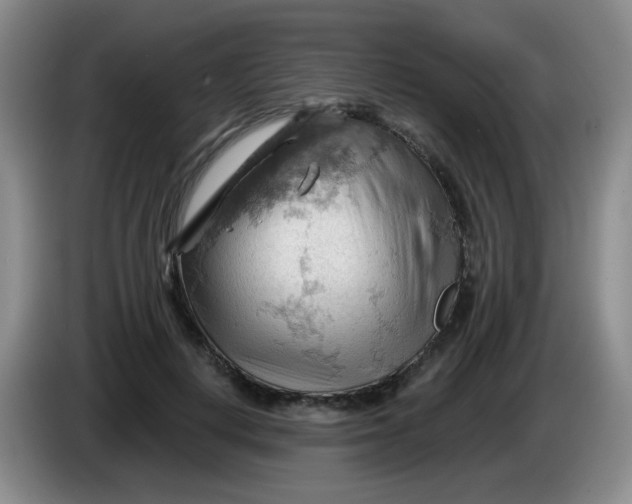 X0000083970648200703091804