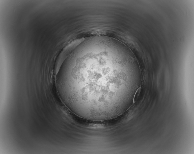 X0000083970649200703091804