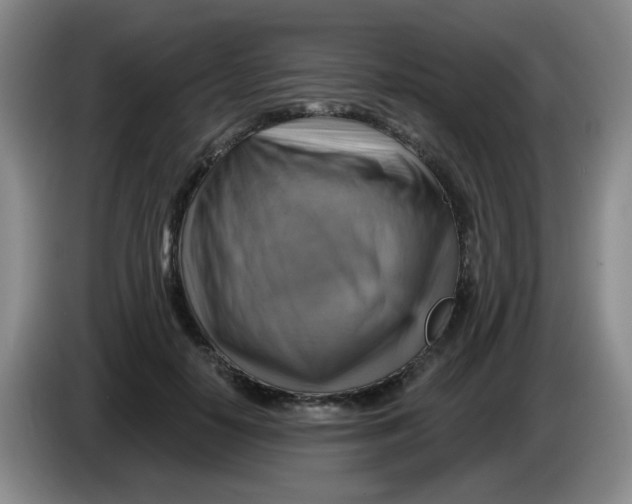 X0000083970650200703091804