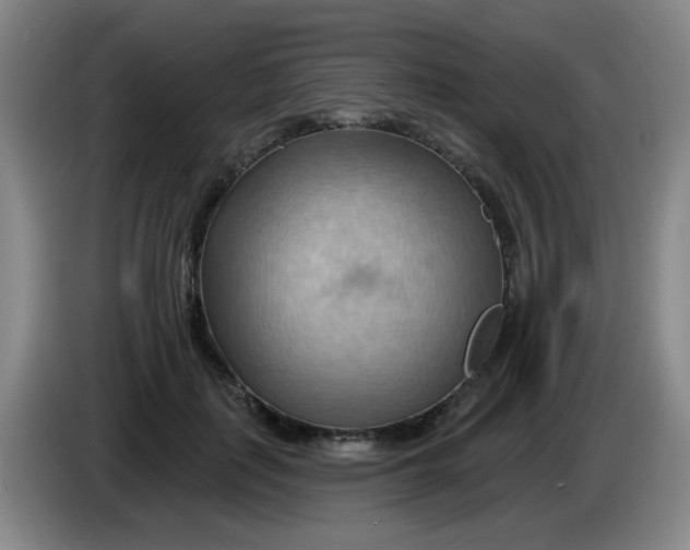 X0000083970651200703091804