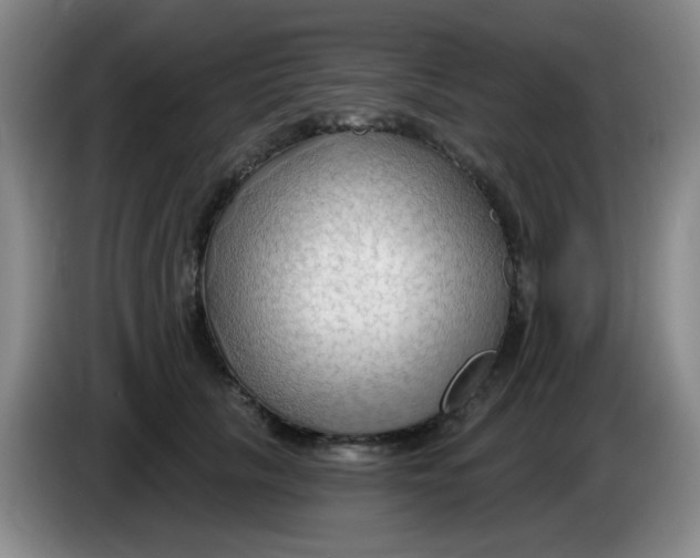X0000083970657200703091804