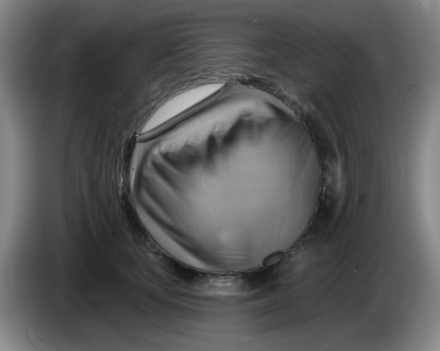 X0000083970659200703091804