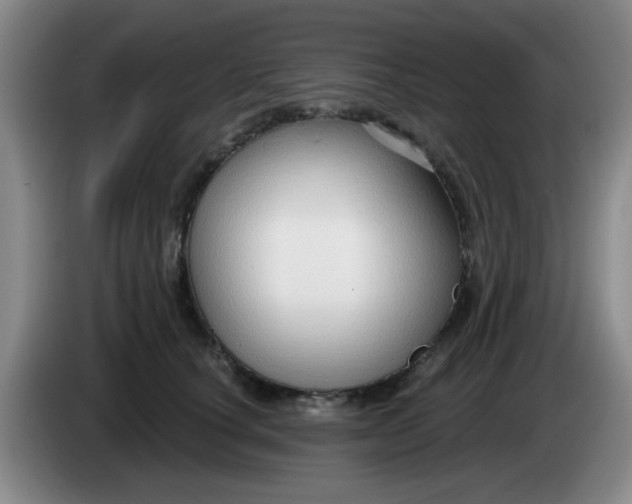 X0000083970660200703091804