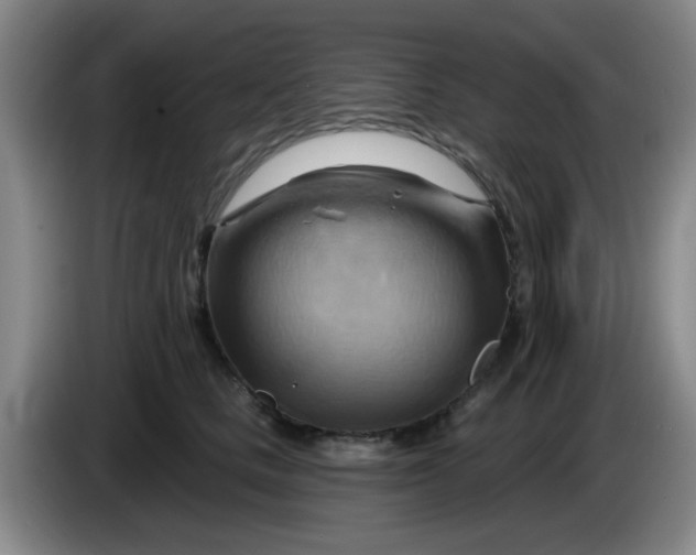 X0000083970661200703091804