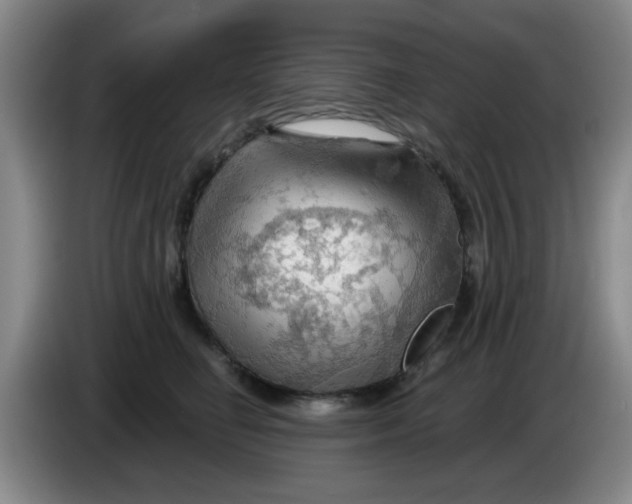 X0000083970662200703091804