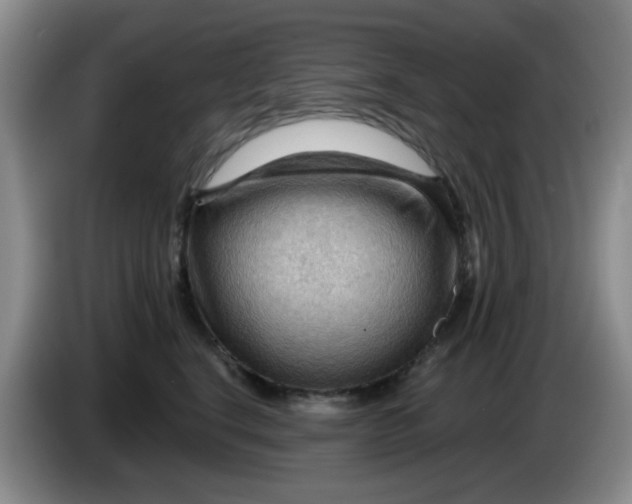 X0000083970664200703091804