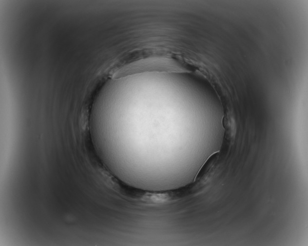 X0000083970665200703091804