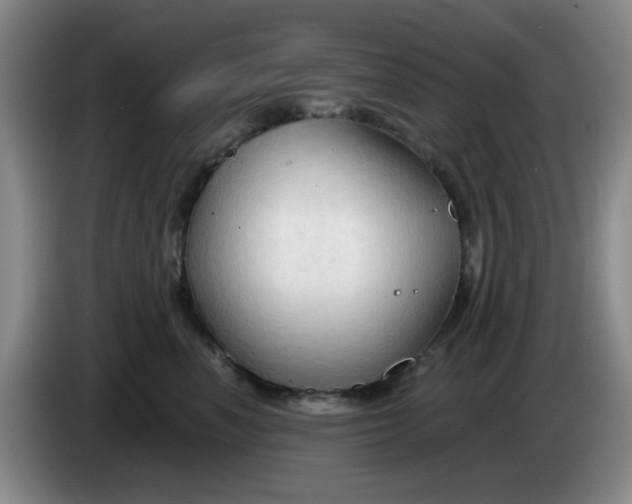 X0000083970666200703091804