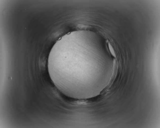 X0000083970668200703091804