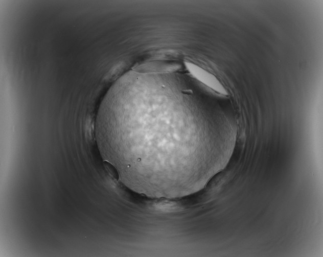 X0000083970669200703091804
