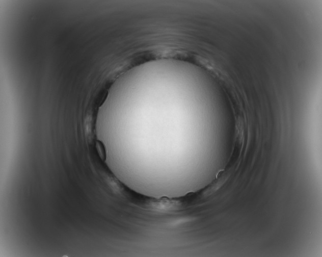 X0000083970670200703091804