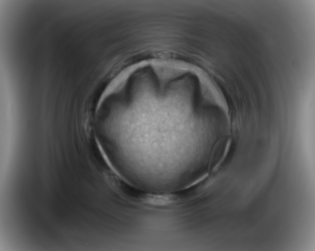 X0000083970671200703091804