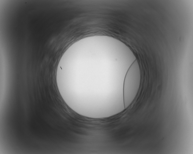 X0000083970672200703091804