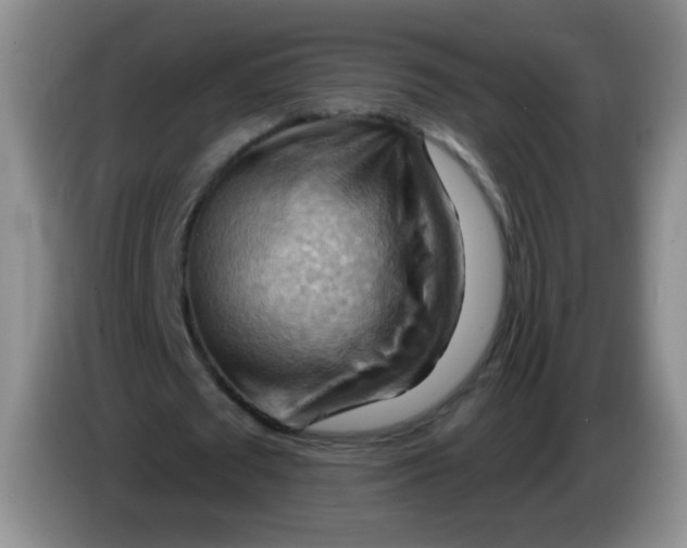 X0000083970673200703091803