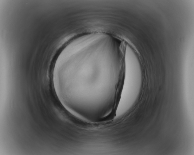 X0000083970674200703091803